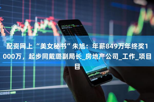 配资网上 “美女秘书”朱旭：年薪849万年终奖1000万，起步同戴璐副局长_房地产公司_工作_项目